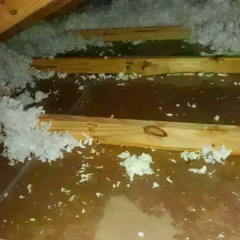 Attic Water Damage in Jackson, KY