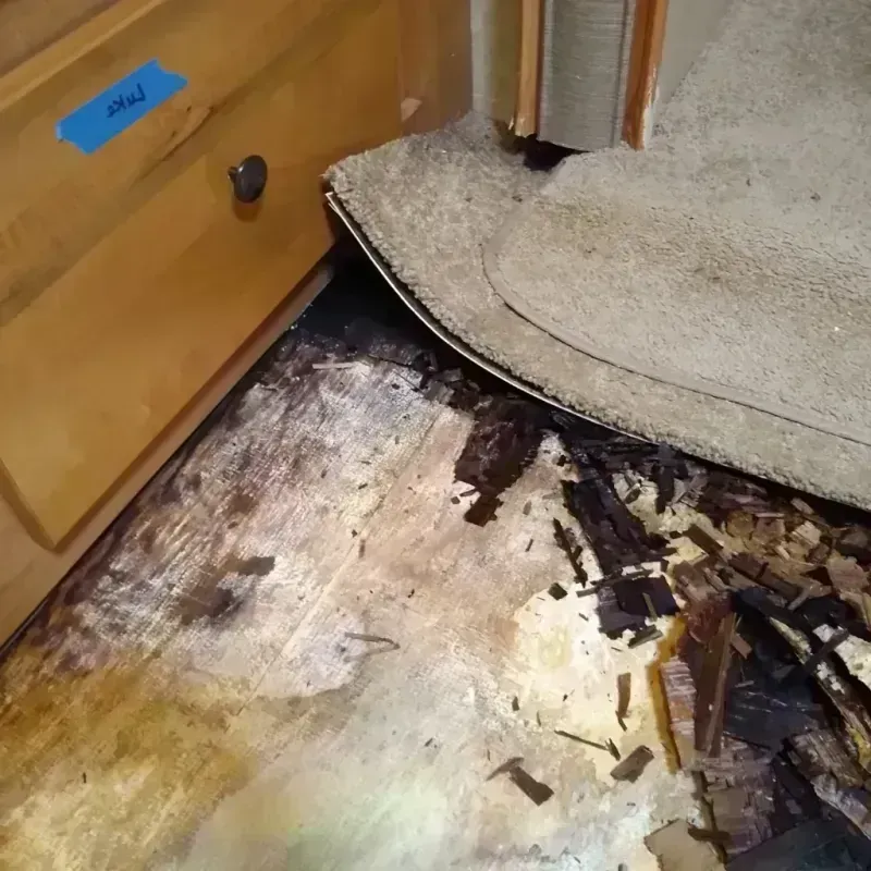 Wood Floor Water Damage in Jackson, KY